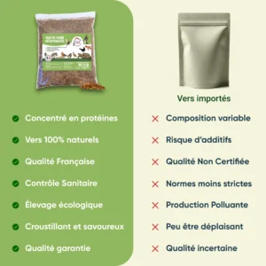 Vers de farine pour poules, volailles, oiseaux Français VS Importés