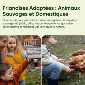 Vers de farine pour poules, volailles, oiseaux - famille