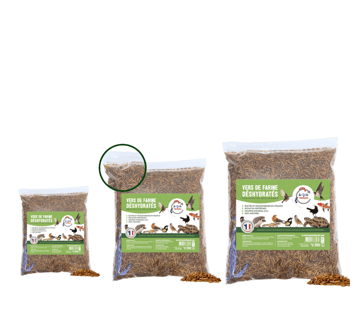 Vers de farine pour poules - 1kg, 2kg, 5kg