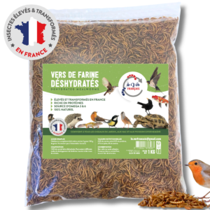 Vers de farine déshydratés