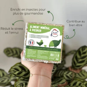Bloc à picorer aux vers de farine déshydratés pour poules et volailles - Le Ver Français